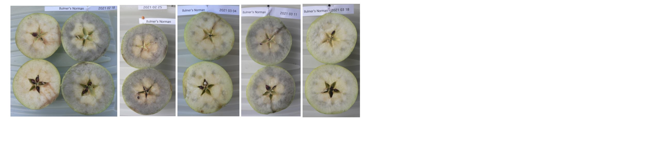 Check Apple Ripeness with the Starch Iodine Test